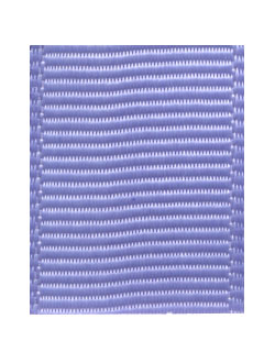 Bluebird - Grosgrain