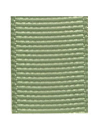 Spring Moss - Grosgrain